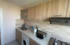 Apartament cu 2 camere în Camil Ressu - 16