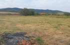 Vand teren intravilan - 6