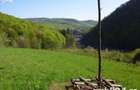 Teren in Moneasa, cu peisaj superb , pe deal in sat - 4