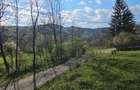 BREBU intravilan 1800 mp, deschidere 29 ml, doar 16.900 - 11