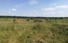 Teren Construcții de 727 mp, în Băneasa - 2