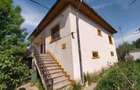 Casa de renovat si teren de vanzare inclusiv piscina Domnesti - 3