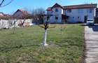 vind casa si gradina - 3
