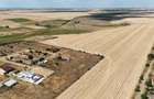 Teren Construcții de 90000 mp, în Sânandrei - 3