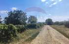 Loc de casa si teren cultivat cu vita de vie 1,28 Ha Sant... - 10