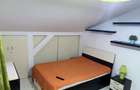 Apartament 1 Decembrie Metrou (Ozana) - 10