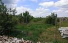 Intravilan 10 ari Strada Gorunului langa centura, Satu Mare - 2