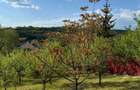 Teren Intravilan 730 mp Valea Mare, Stefanesti, Arges - 2