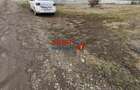 Teren de vanzare zona Micesti sau schimb cu apartament !! - 5