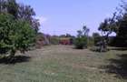 Casă cu 3 camere în Crivina - 10