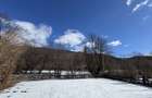 Teren Lac Paltinu - Valea Doftanei - 7