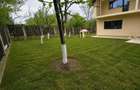 Casa mare Visani 230 mp | 3 dormitoare + living 60 mp | teren 610 mp - 6