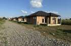 Case noi 3 camere + living , 550 mp teren , Paulesti