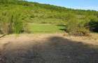 Bacau Teren intravilan la Iesire din Podis (Margineni) Deschidere la DN2G