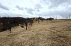 TEREN 34.000 MP | SERANI BIHOR - 2