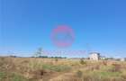 Teren Costinesti 1000 mp, Aproape de Plaja si de Nibiru, Ide - 6