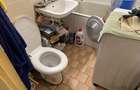 Casă cu 3 camere cu Canalizare în Brestei - 9