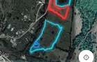 Vand casa +teren+padure - 4