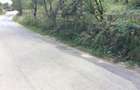 Teren de vinzare in Cheia(Olanesti) - 5