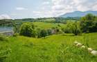 Teren intravilan de 5495 mp, în Bran - 34