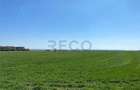 Casă cu 3 camere cu Teren 7794 Mp în Tămășeu - 11