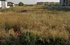 Vand Teren Intravilan Popesti Leordeni - Strada Rasaritului,Ideal pentru construc?ie casa zona lin - 3