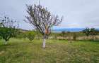 Teren de 1730 mp, în Vulcan - 36