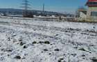 Teren intravilan, 6323 mp, zona Laniste-Burdujeni - 3