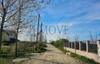 Teren Construcții intravilan de 347 mp, în Nord - 6