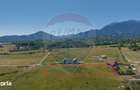 Teren Tohanu Nou, intrare Sohodol, 4800mp - 18