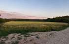 Vand teren la Padurea Snagov - 3