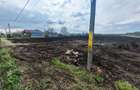 19.100mp, intravilan, E85, 60m deschidere in Secuienii noi - 5