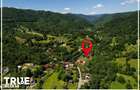 Casa de vacan?a premium 170 m2 Teren 2.500 m2 Bistra Mure?ului - 6