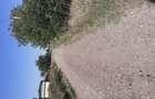 Teren de 4000 mp, în Căldărușeanca - 7