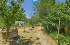 Casă cu 2 camere și teren de 1450 mp în Aradul Nou - 16