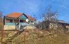 Casa batraneasca + 10.076 mp teren de vanzare in comuna Cepari, Jude? Arge?. - 3