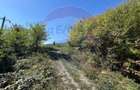 Teren intravilan Buru | ideal agrement, activita?i outdoor - 9