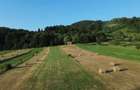 Teren 5886 mp In Bucovina - Bucsoaia! De Vanzare! 0727817187 - 11