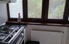 2Camere Crangasi Parc Nucsoara - 8