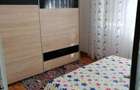 Apartament 2 camere de inchiriat vis-a-vis de Parcul Moghioros - 5