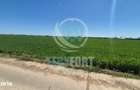 Teren intravilan construire hale depozitare, industrie , servicii, com
