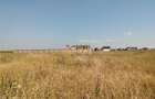 Teren intravilan la intrare in Bod dinspre Sanpetru - 3