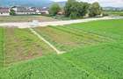 Teren Construcții intravilan de 800 mp, în Bartolomeu - 11