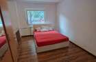Apartament cu 2 camere semidecomandat în Ozana - 4