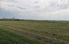 Teren agricol de 20000 mp, în Bod - 3