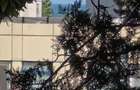 Apartament cazare doua camere Mangalia - 2