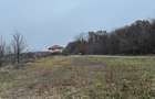 Teren agricol intravilan de 736 mp, în Snagov - 3