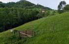 De vanzare teren 6500 m2 in sat Magura jud brasov la principala - 6