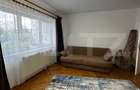 Apartament cu 2 camere decomandat în Mănăștur - 6