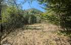 Teren extravilan Loc. Valea Mare, jud. Valcea - 2